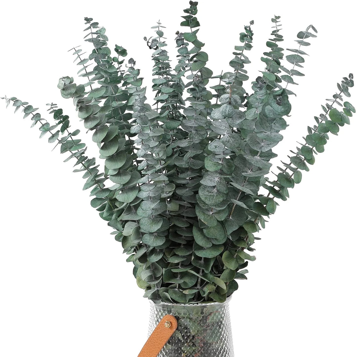 20Pcs Dried Eucalyptus Bundle 17'' Real Eucalyptus Stems - 100% Natural Fresh Eucalyptus Leaves Greenery Stems for Shower Home Decor Flower Arrangement and Wedding