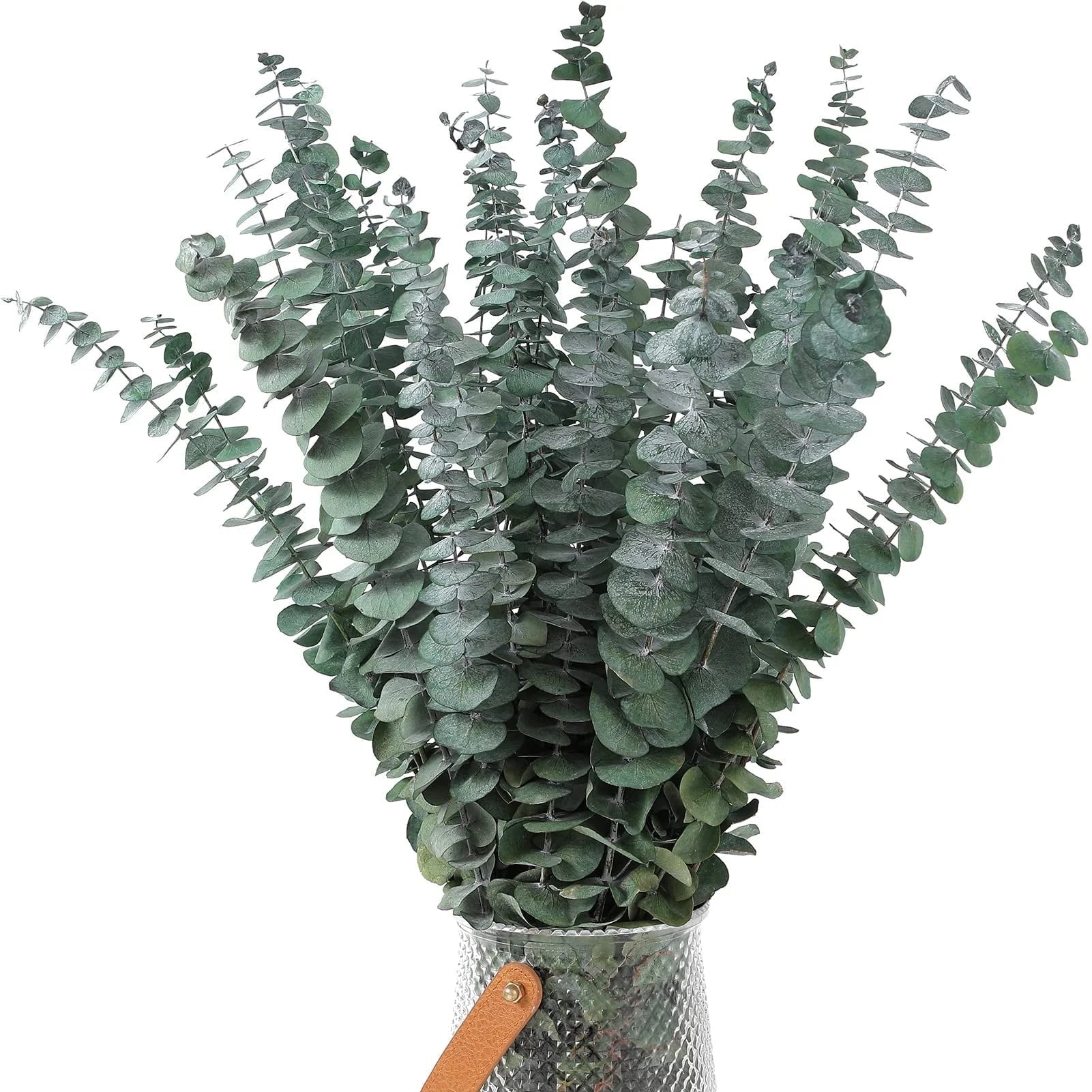 20Pcs Dried Eucalyptus Bundle 17'' Real Eucalyptus Stems - 100% Natural Fresh Eucalyptus Leaves Greenery Stems for Shower Home Decor Flower Arrangement and Wedding